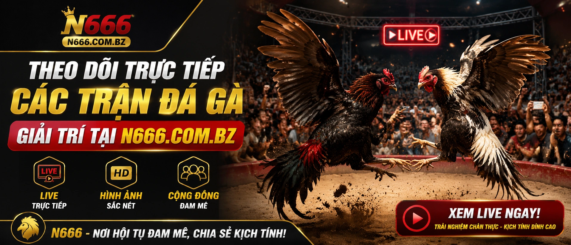 Đá Gà Campuchia thuộc nhóm danh mục khu vực trên n666.com.bz